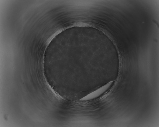 X0000103290853200809261248