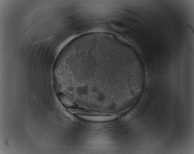 X0000103290854200809261248