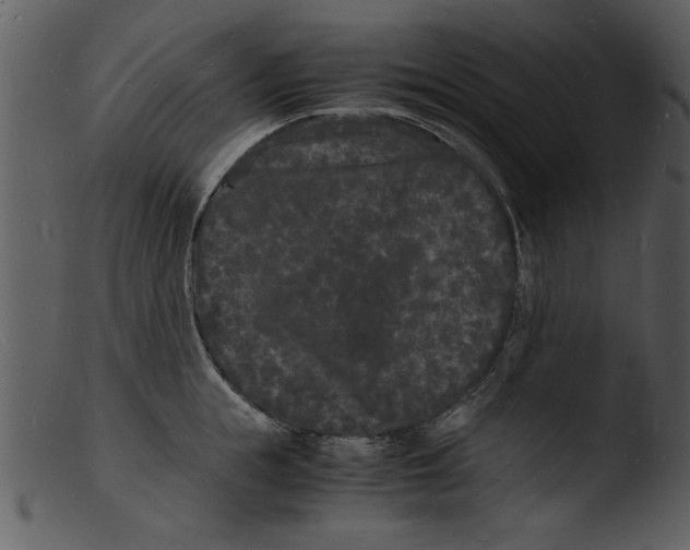 X0000103290855200809261248