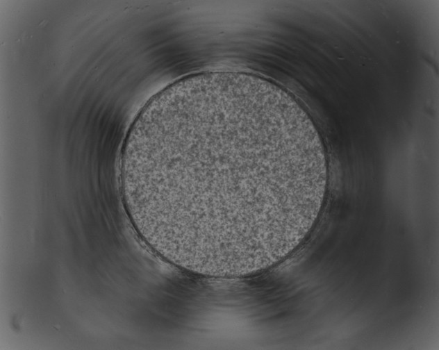 X0000103290856200809261248