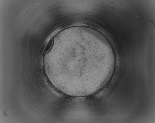 X0000103290858200809261248