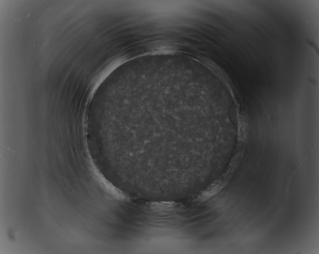 X0000103290859200809261248