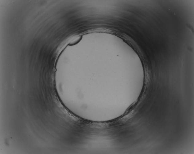 X0000103290860200809261248