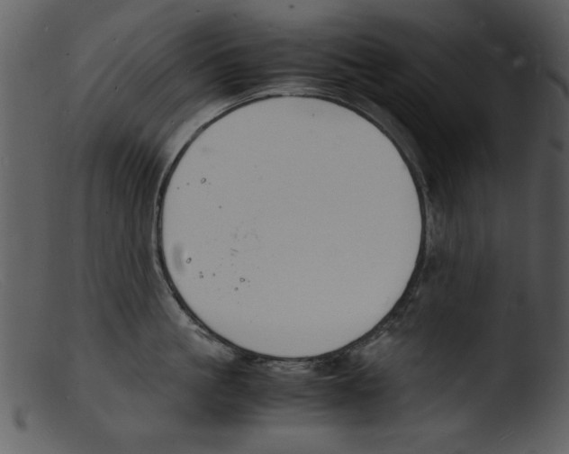 X0000103290861200809261248