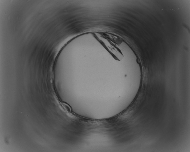 X0000103290862200809261248