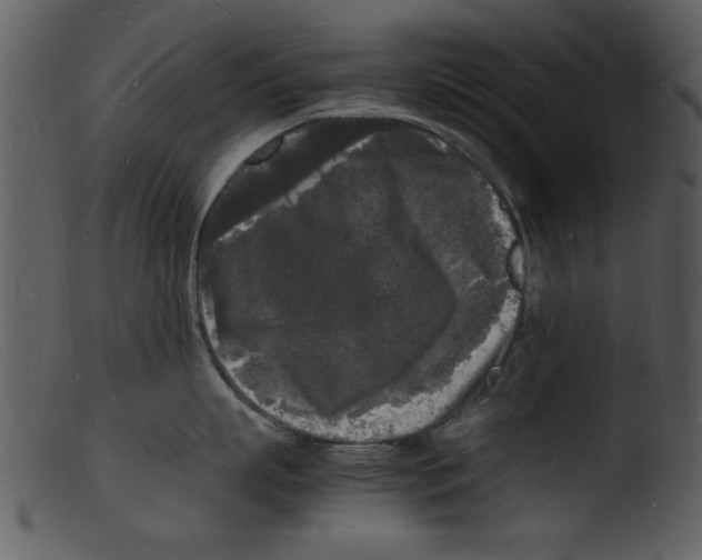 X0000103290863200809261248