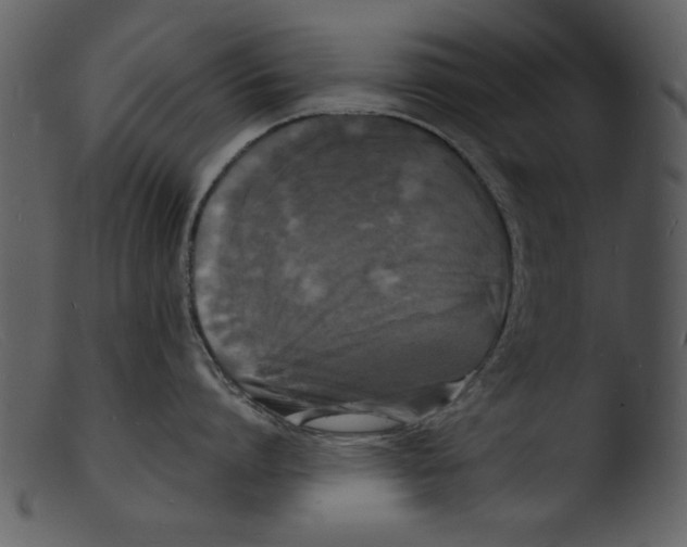 X0000103290864200809261248