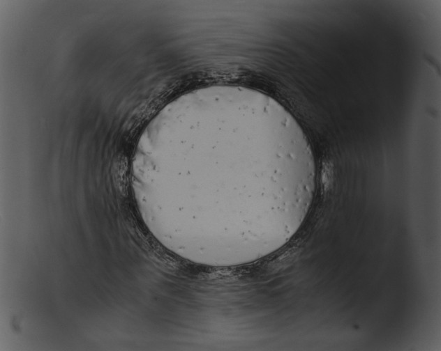 X0000103290867200809261247