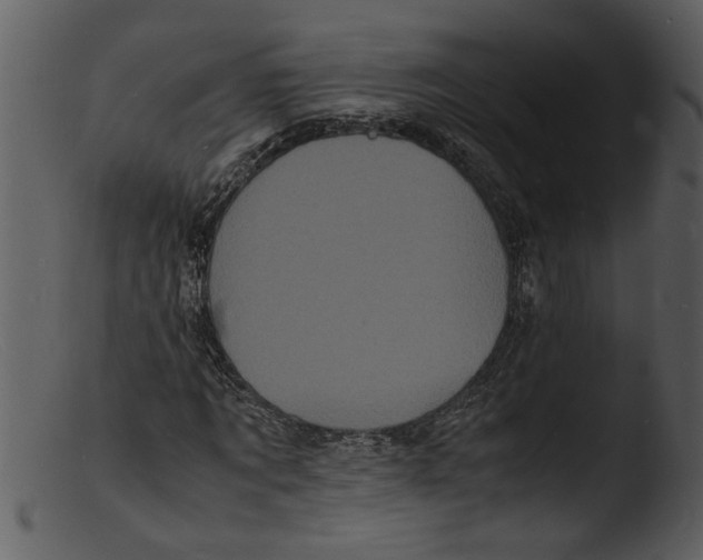 X0000103290869200809261247