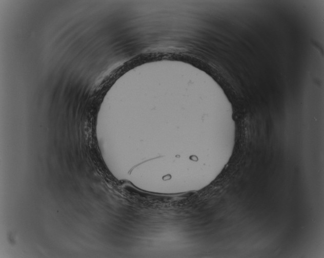 X0000103290872200809261247