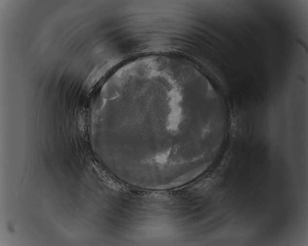 X0000103290874200809261247