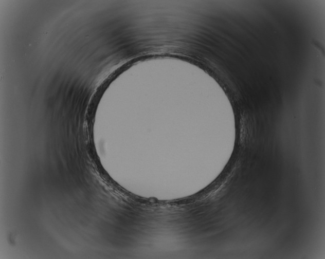 X0000103290876200809261247