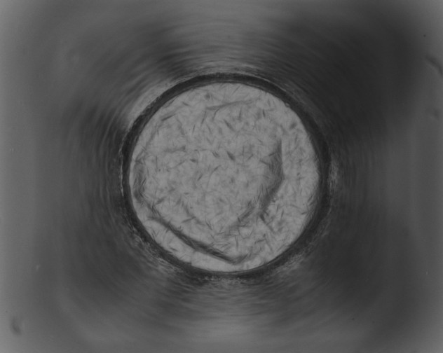 X0000103290877200809261247
