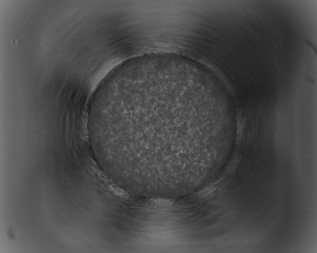 X0000103290878200809261247