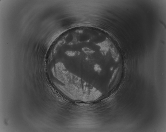 X0000103290879200809261247