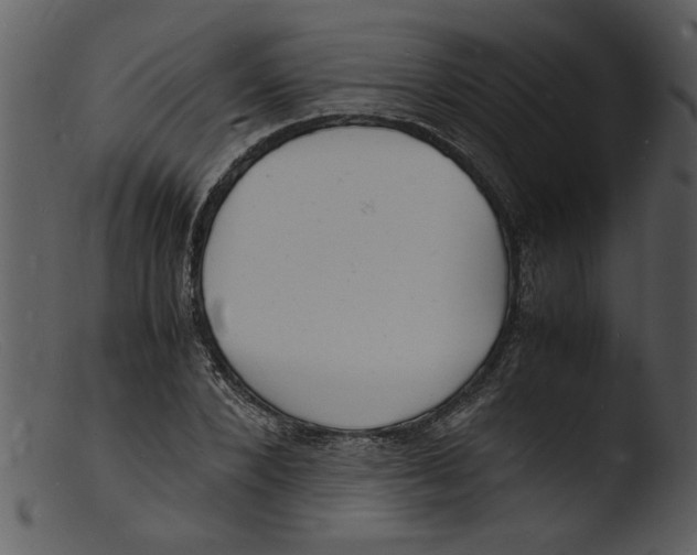 X0000103290880200809261247