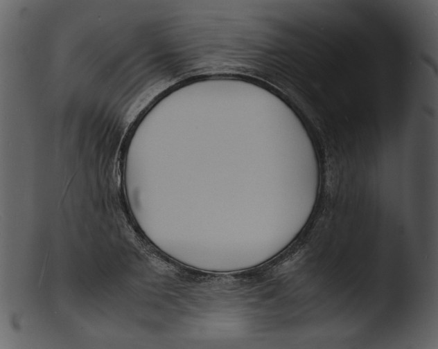 X0000103290885200809261247