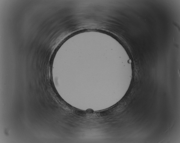 X0000103290887200809261247