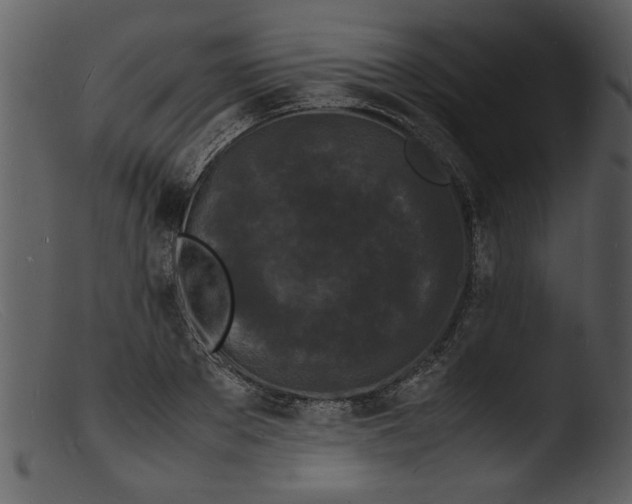 X0000103290889200809261247