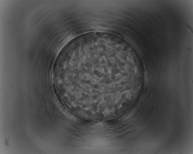 X0000103290891200809261247