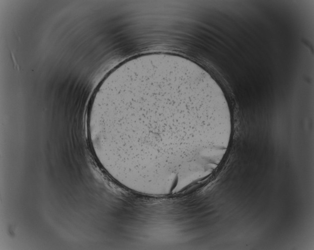 X0000103290892200809261247