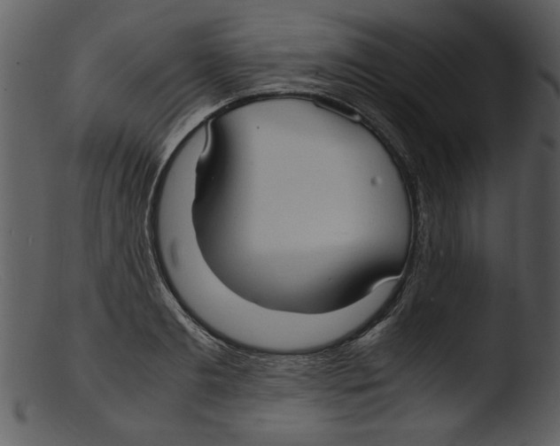 X0000103290893200809261247