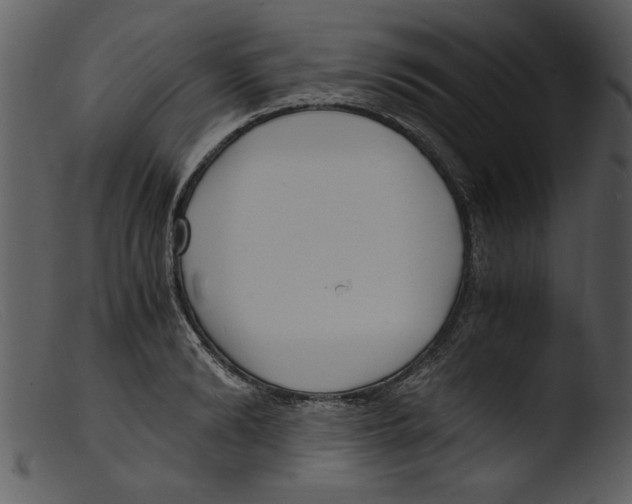 X0000103290894200809261247