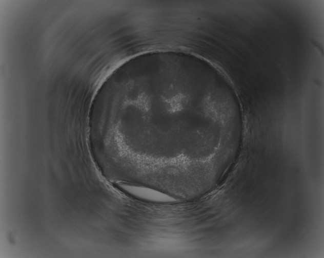 X0000103290895200809261247