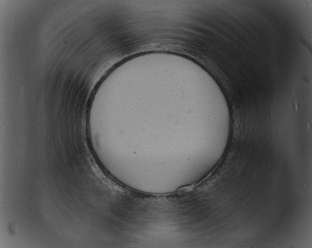 X0000103290896200809261247