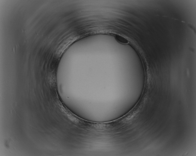 X0000103290897200809261247