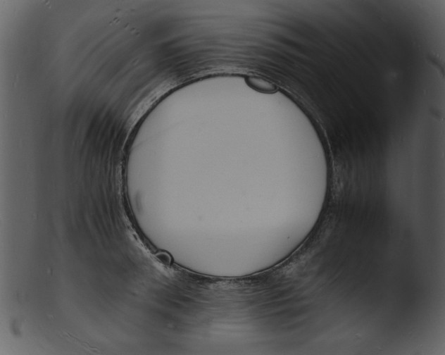 X0000103290898200809261247