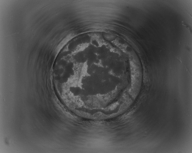 X0000103290899200809261247