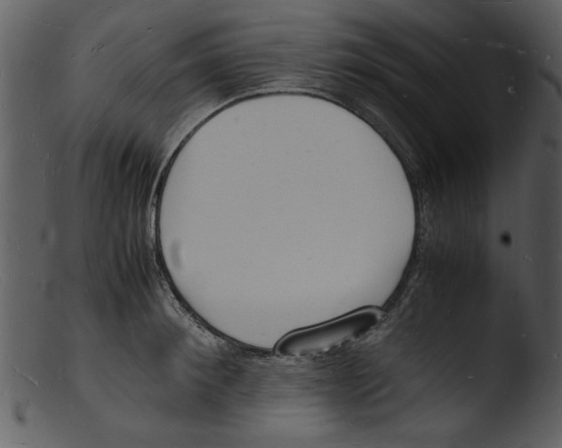 X0000103290900200809261247