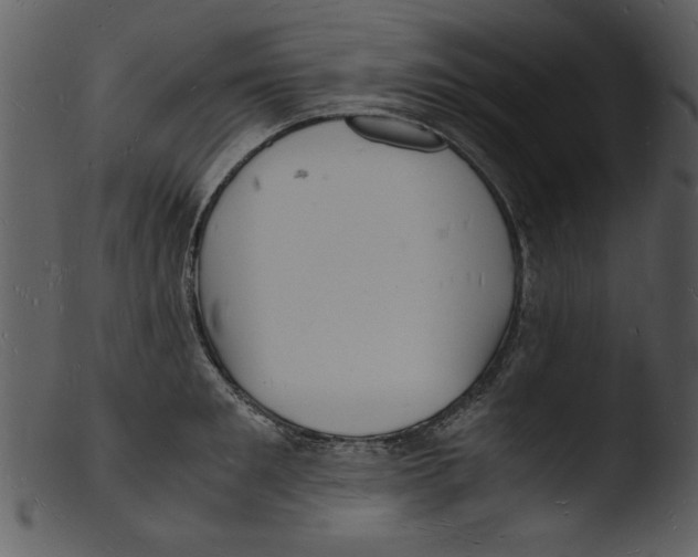 X0000103290901200809261247
