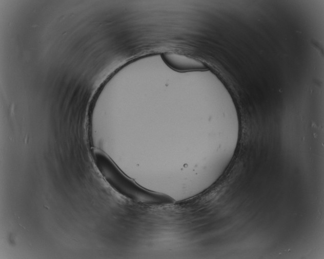 X0000103290902200809261247