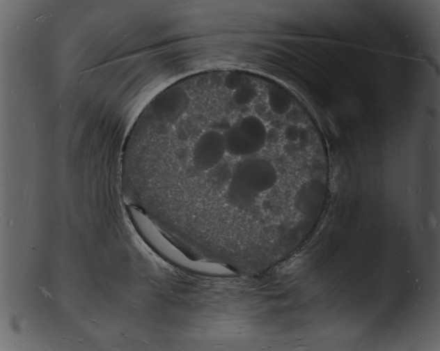 X0000103290903200809261247