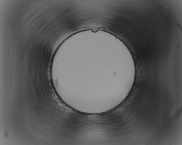 X0000103290904200809261247