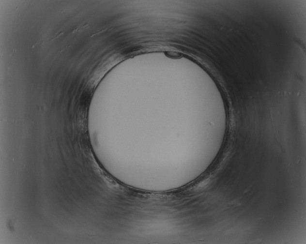 X0000103290905200809261247