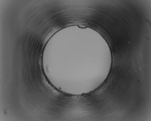 X0000103290906200809261247