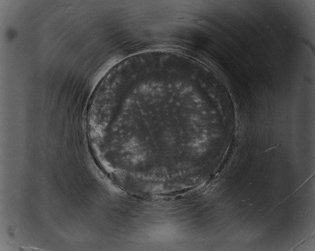 X0000103290907200809261247