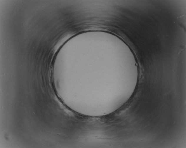 X0000103290909200809261246
