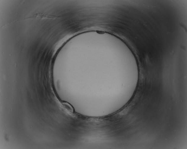 X0000103290910200809261246