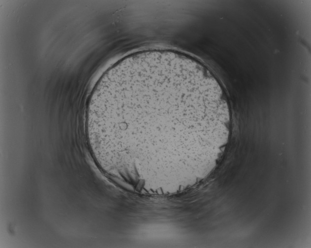 X0000103290911200809261246