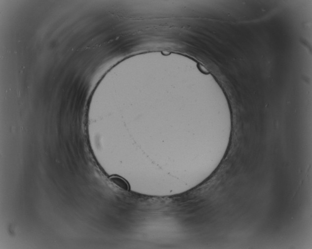 X0000103290912200809261246