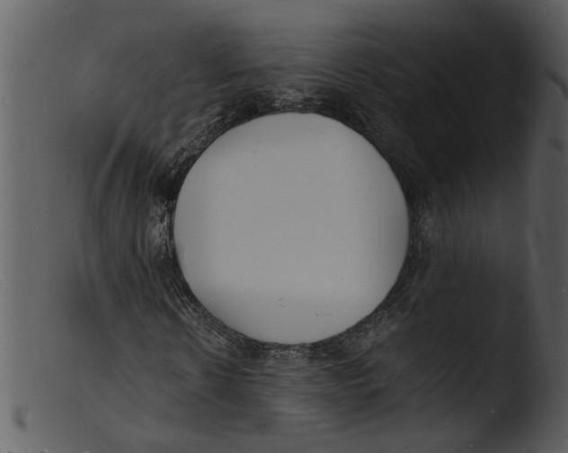 X0000103290914200809261246