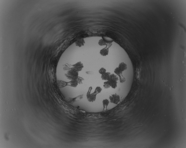 X0000103290915200809261246