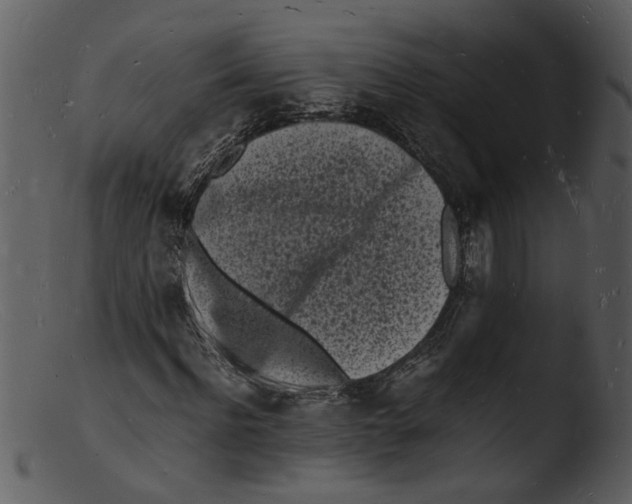 X0000103290916200809261246