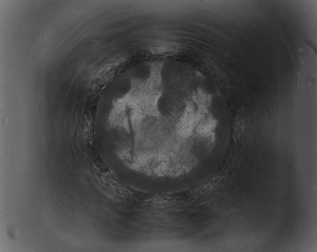 X0000103290917200809261246