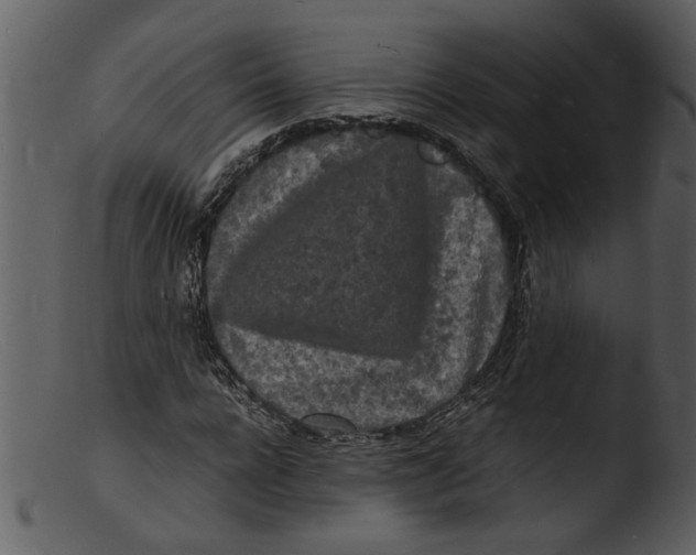 X0000103290920200809261246