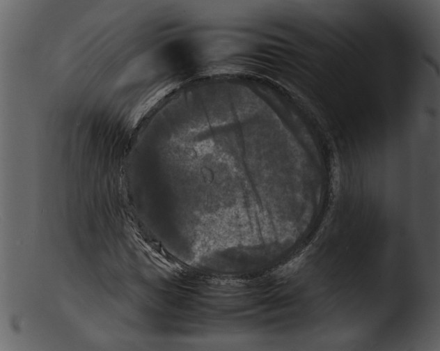 X0000103290921200809261246